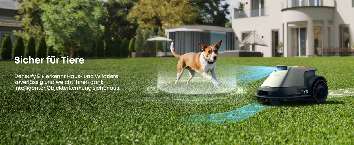 safe-for-dogs
