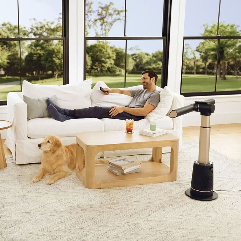 livingroom-with-a-dog