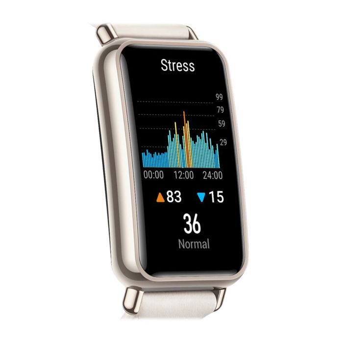 Watch Fit Mini